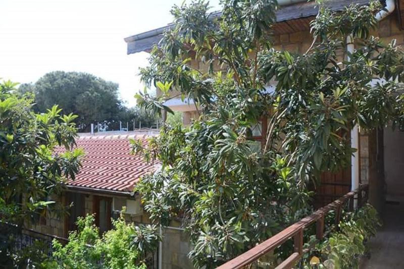 Antonios Motel ซีเด ภายนอก รูปภาพ